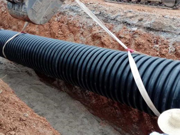 洋沙湖大道改造工程 洋沙湖大道改造工程