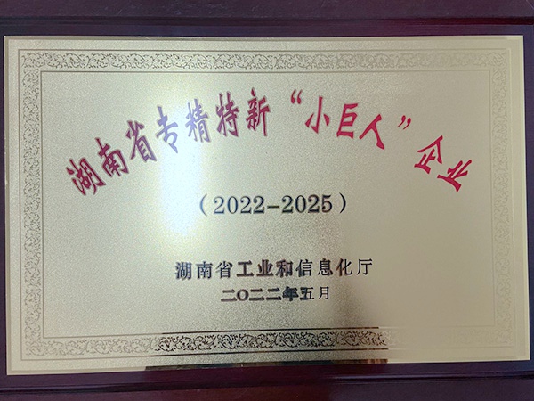 2022年度湖南省專精特新小巨人企業(yè)-2022.5月